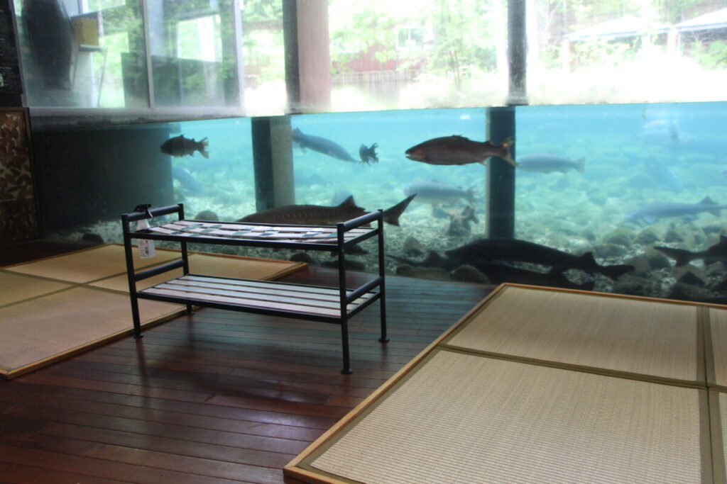 富士湧水の里水族館の畳スペース