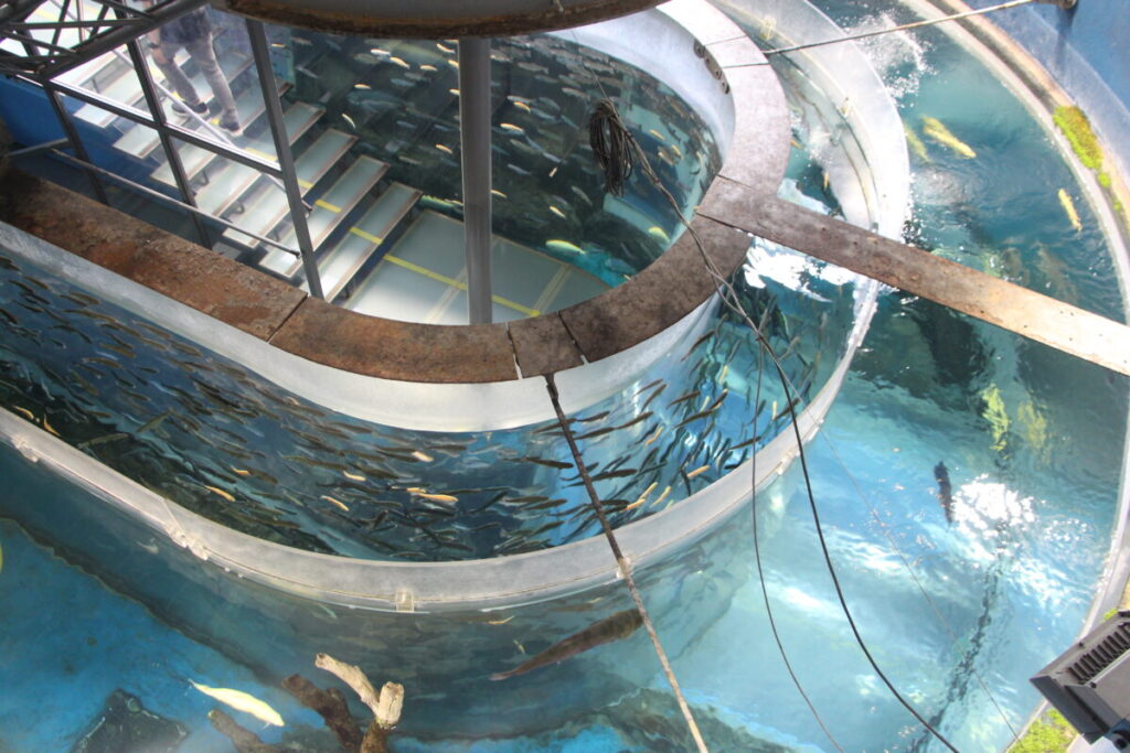 富士湧水の里水族館の二重回遊水槽